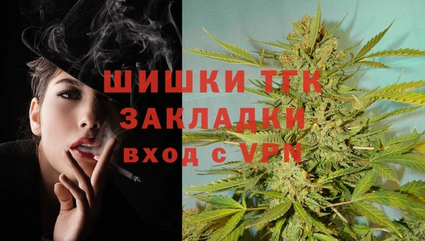 дурь Вяземский